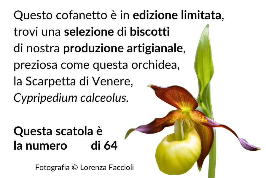 SELEZIONE DI BISCOTTI ARTIGIANALI - Scatola di latta in edizione limitata (solo 64 pezzi) con 9 biscotti di nostra produzione